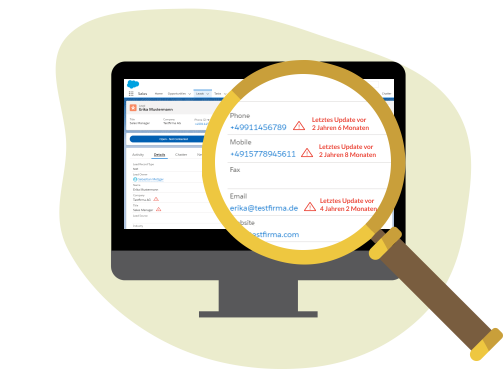 CRM-Datenpflege
